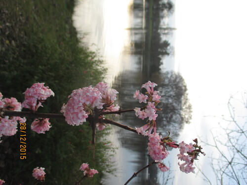 Lac Daumesnil