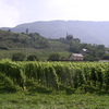 Le vignoble vers Montmélian