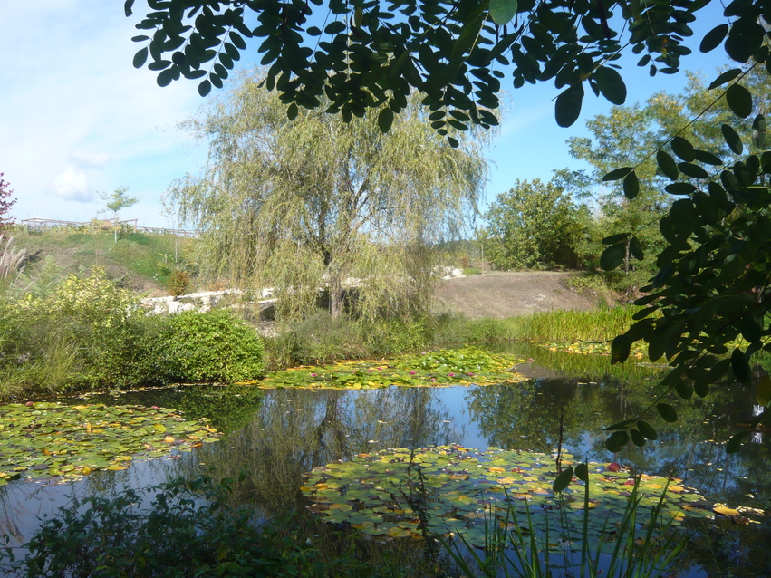 Les jardins d'eau - Carsac-Aillac  (24)