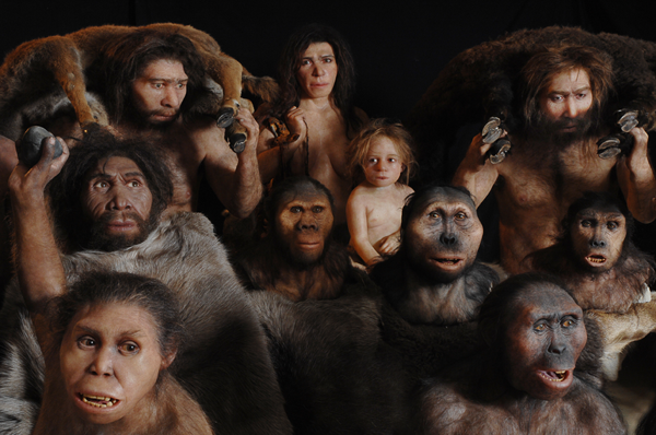 Australopithèques Néandertal Homo-erectus-habilis-sapiens