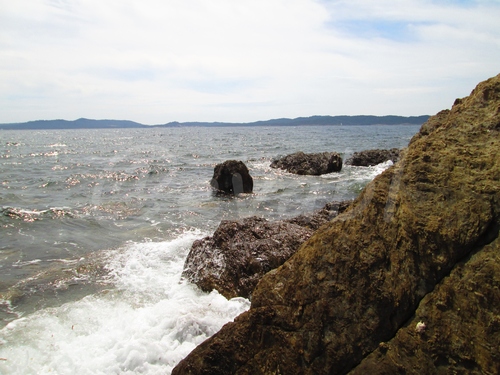 Paysages Hyères