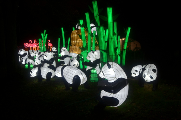 Une exposition extraordinaire au Jardin des Plantes