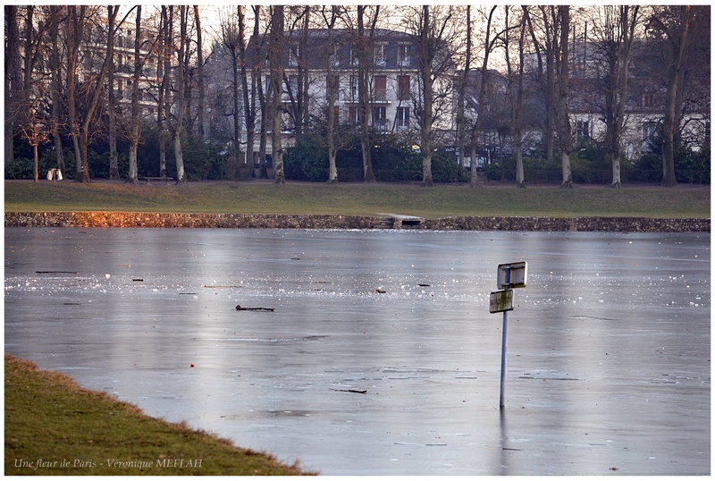 Rambouillet : Un soir d'hiver