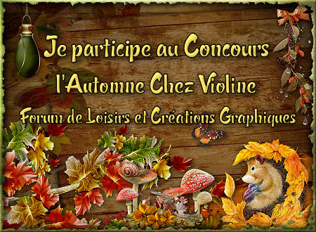 concours sur forum de Violine