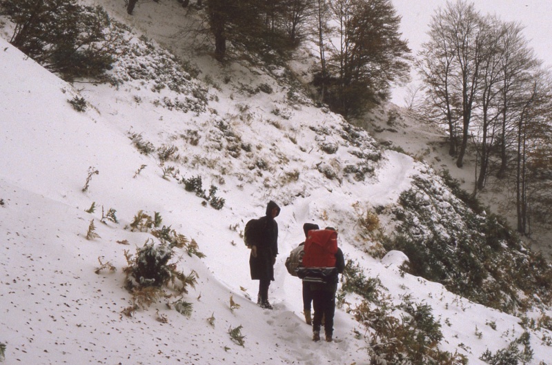 marcheurs dans la neige