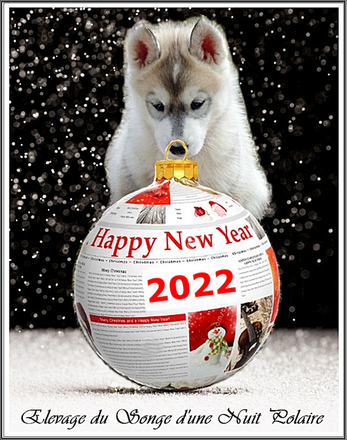 Bonne année ! (1er janvier 2022)
