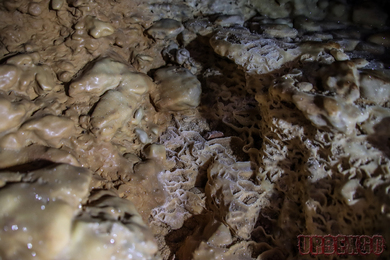 mine de bauxite abandonnée du sud de la France, urbex