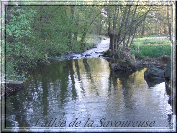 Riviere la Savoureuse cle631121