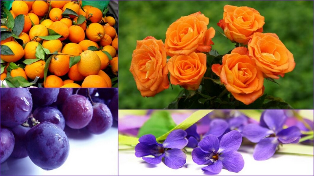 Signification des couleurs:l'orange et le violet