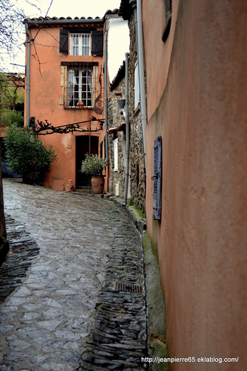 2014.03.25 La Garde-Freinet (département du Var).