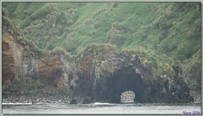 Archway Rock et "la citadelle fortifiée" qui surplombe - Quest Bay - Gough Island - Tristan da Cunha