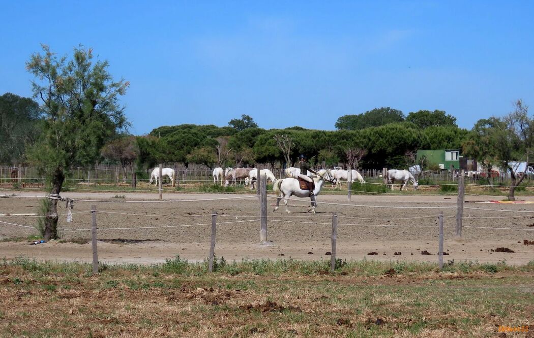 Aigues-Mortes en 2021  