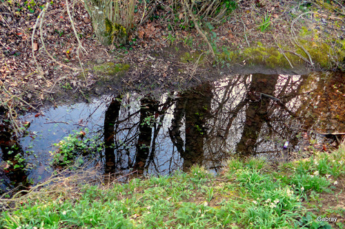 Des reflets dans un ruisseau