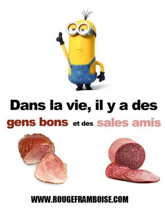 Les blagues et jeux de mots des minions !