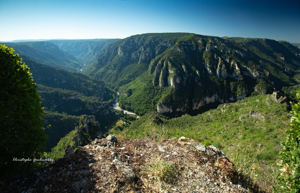 Les gorges du Tarn 