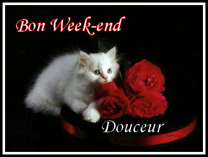 Bon Samedi, Les Ami(e)s - améthyste