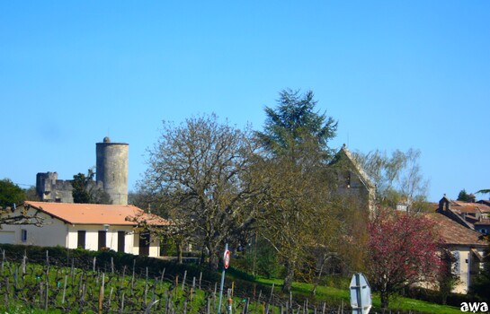 Quelques beaux châteaux près de chez nous