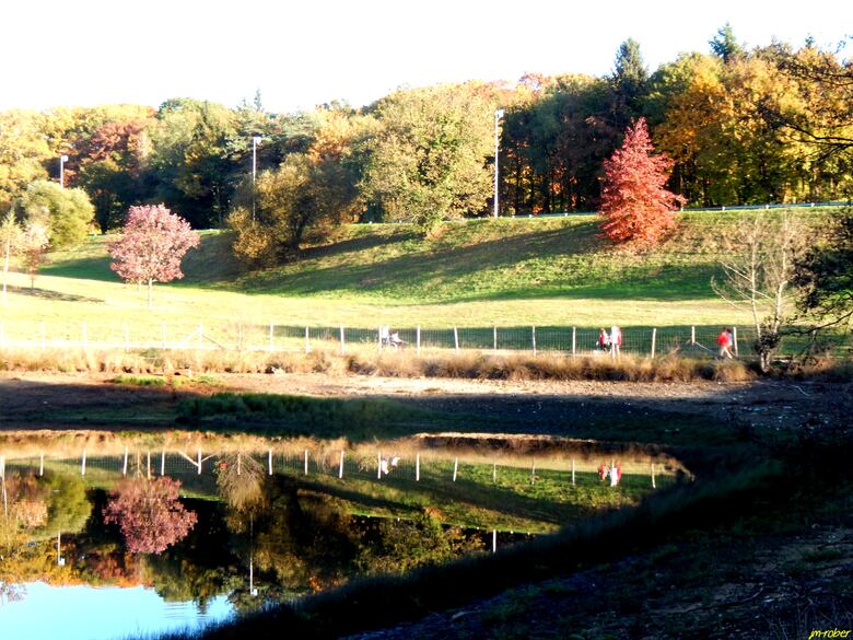 Limoges: Lac d'Uzurat des fonds verdâtres aux reflets d'automne