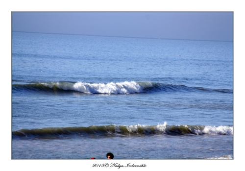 Fort Mahon Plage (80)