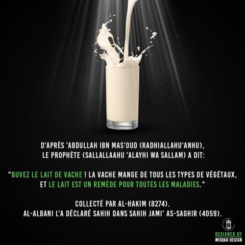 Le lait est-il bon pour la santé?