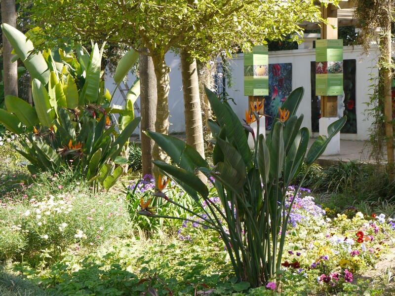 les jardins exotiques de Bouknadel 