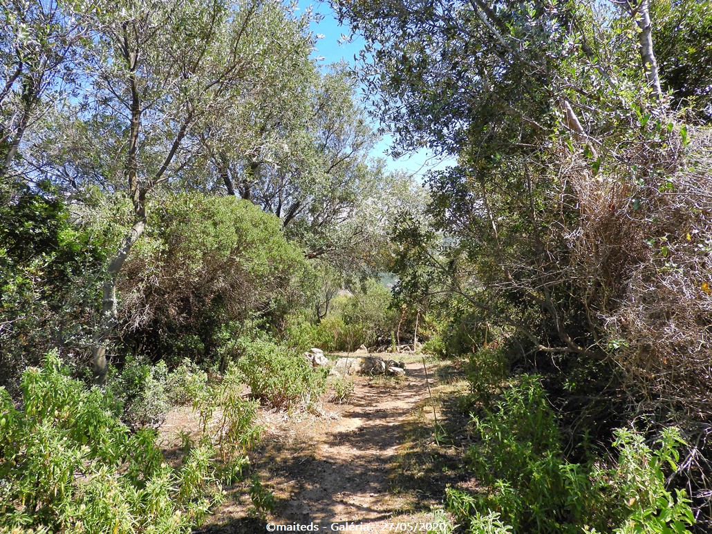 Sur le sentier des crêtes - Galéria