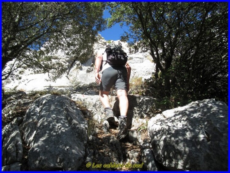 sainte Victoire, le col Saint Ser, le vallon de Bramefan