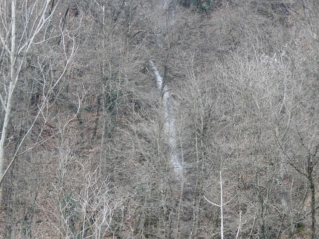 chiens des glaces en savoie