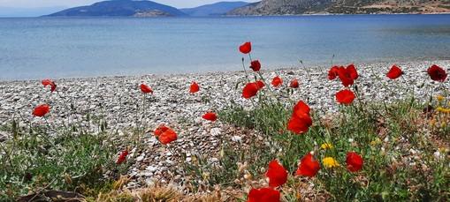 Italie - Grèce ...