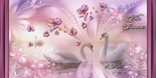 Love Swans