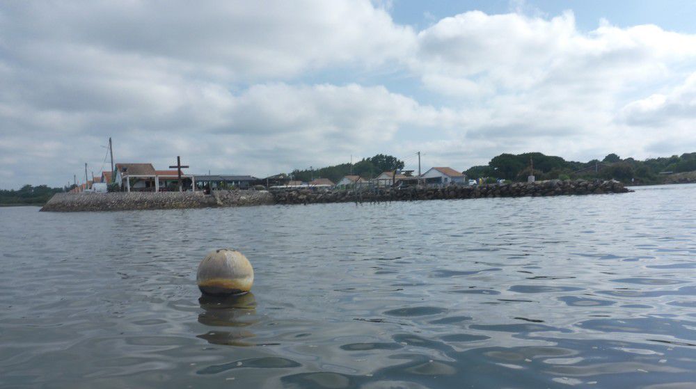 Balade en paddle et en canoë - juillet 2024...