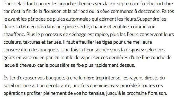                               LE 09 SEPTEMBRE >>>LES FLEURS SEChEES