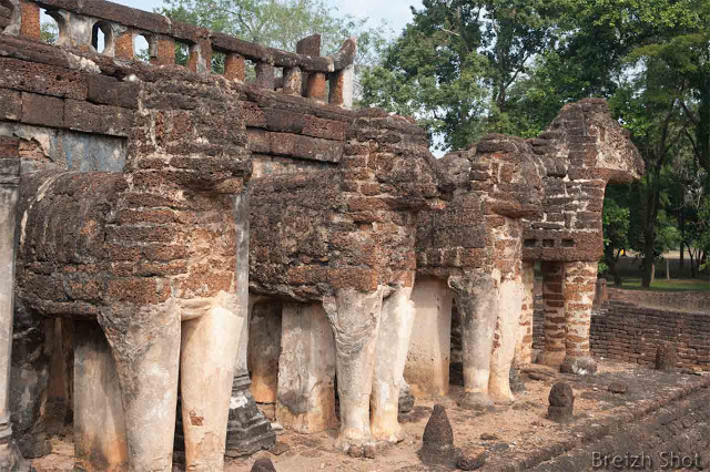 Wat Chang Lom, Le chedi aux éléphants -  Contrairement à wat Si Sorasak de Sukhothai  (tête d'éléphants incluses dans le chedi) les éléphants de wat Chang Lom sont entiers.