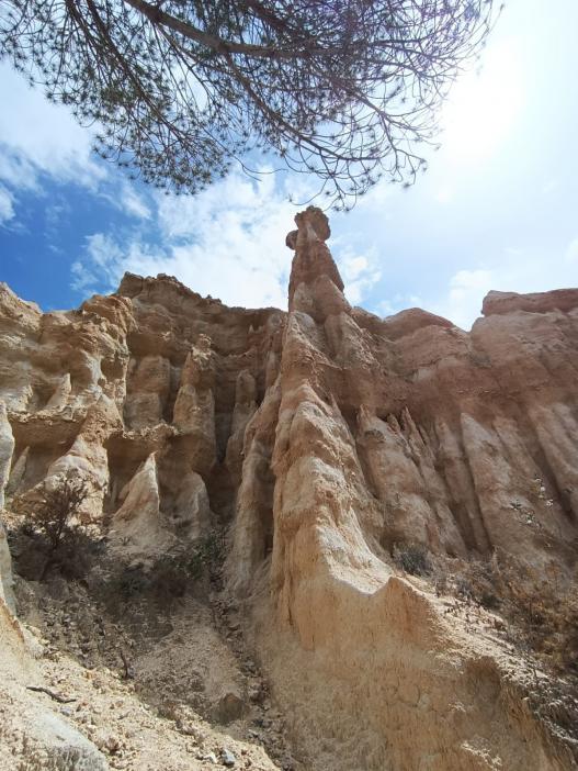 Aucune description de photo disponible.