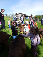 La sortie à la ferme