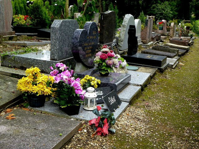 P1060033