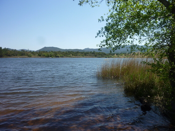 Le lac des Escarcets