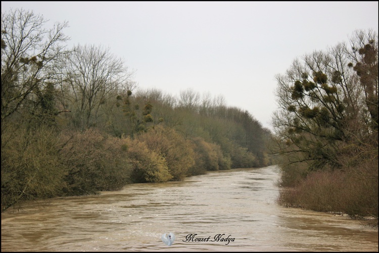 Inondation à Givry de Janvier 2018