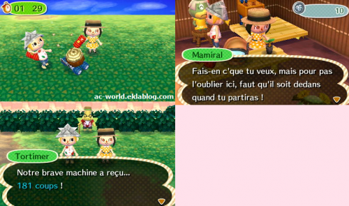Jouer en wifi sur tortiland (l'île ACNL)