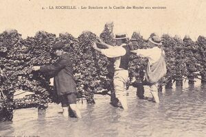 LA ROCHELLE - LES BOUCHOTS ET LA CEUILLE DES MOULES AUX ENVIRONS - A. BONNAUD 4
