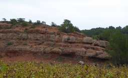 Castelnau de Guers, son histoire,  ses légendes