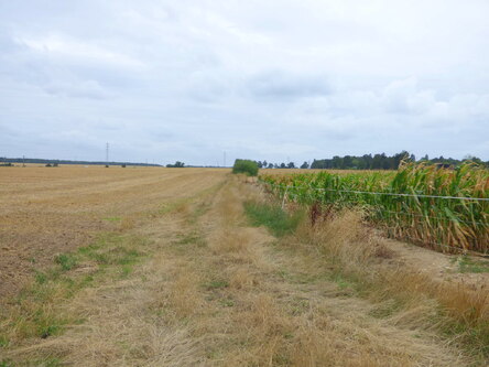 Les Vaux du Milon