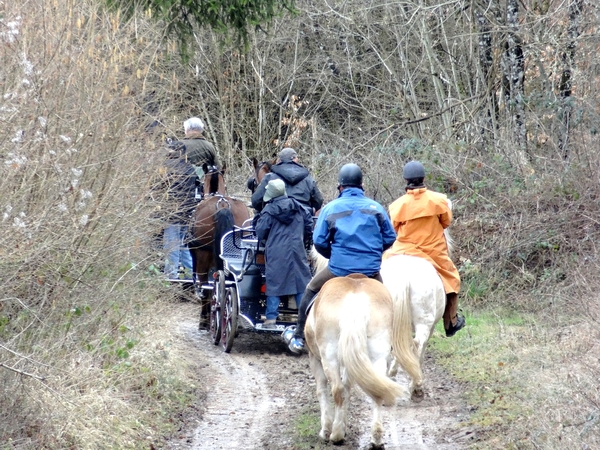 Une belle balade avec Epona....