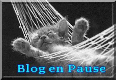 BLOG-EN-PAUSE.jpg