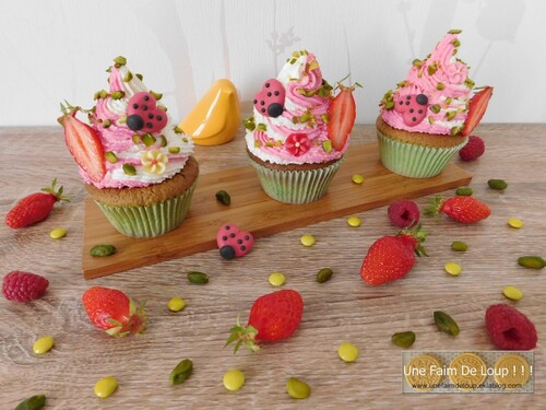 Moule pour 6 muffins & cupcakes taille maxi Marque:Wilton