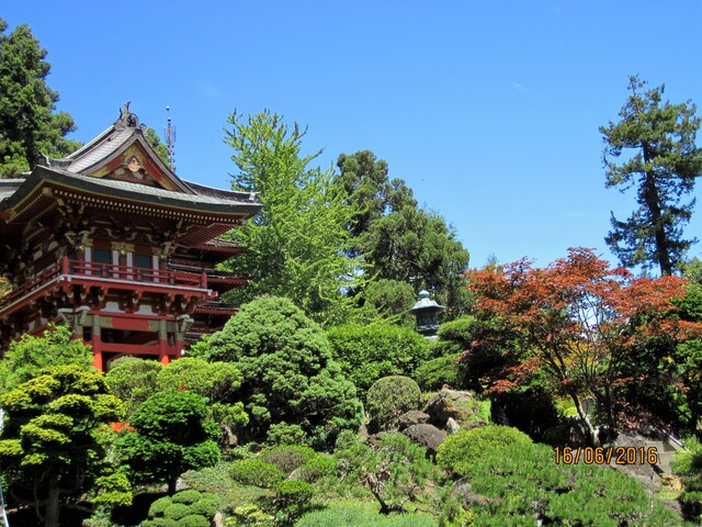 Le jardin  japonais du thé (Japanese tea garden) de San Francisco (Californie)