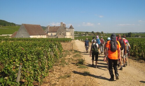 "Retour par les Vignes" - Mercredi 12 septembre 2018