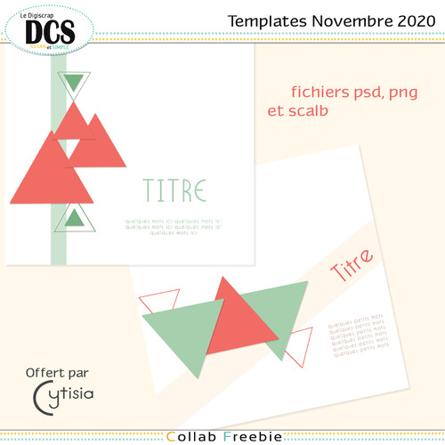 Template triangles DCS Novembre 2020