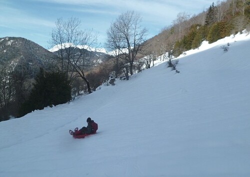 Luge : vallon de Coume Longue (Le Couéu) - 31