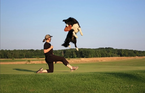 Avec son chien lancer de frisbee